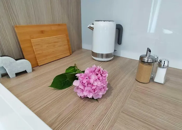 Cicha Przystan Whiteblue Sauna&fitness&parking Apartment *